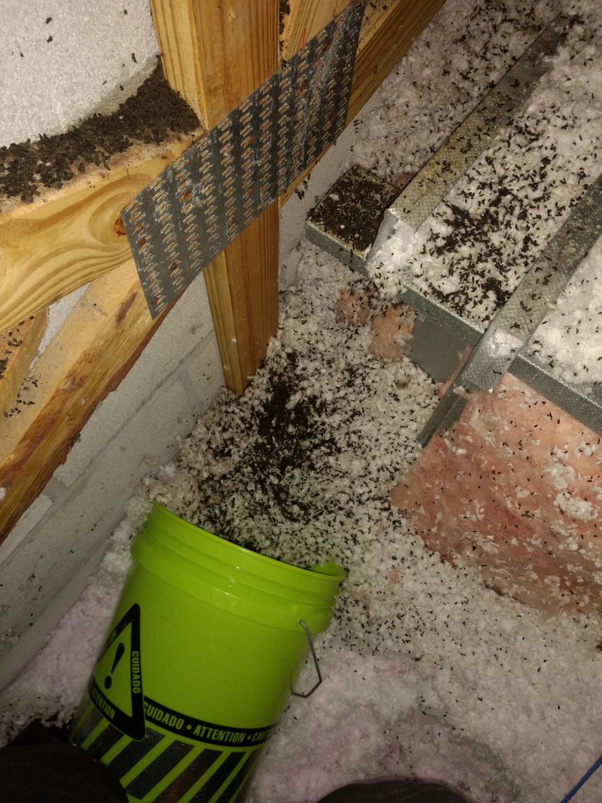 Nuisance Wildlife/Animal Poop Feces Identification Guide